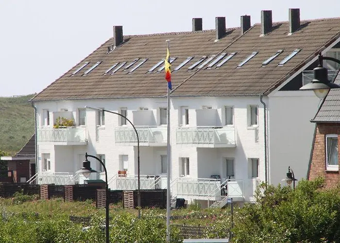 Möwenfeder